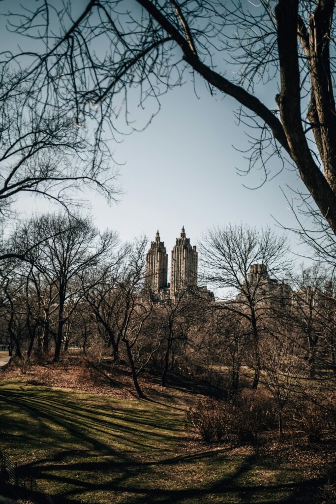 Central Park in New York City