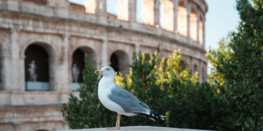 Colosseum in Rome